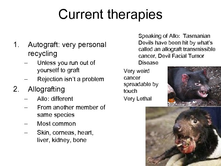 Current therapies 1. Autograft: very personal recycling – – 2. Unless you run out