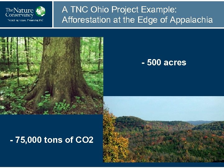 A TNC Ohio Project Example: Afforestation at the Edge of Appalachia - 500 acres