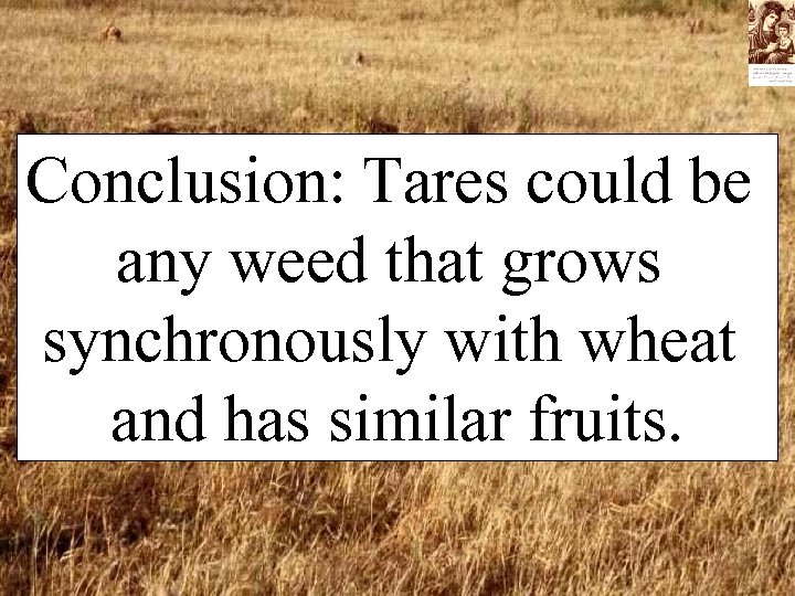 Conclusion: Tares could be any weed that grows synchronously with wheat and has similar