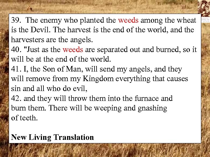 39. The enemy who planted the weeds among the wheat is the Devil. The