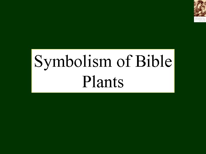 Symbolism of Bible Plants 