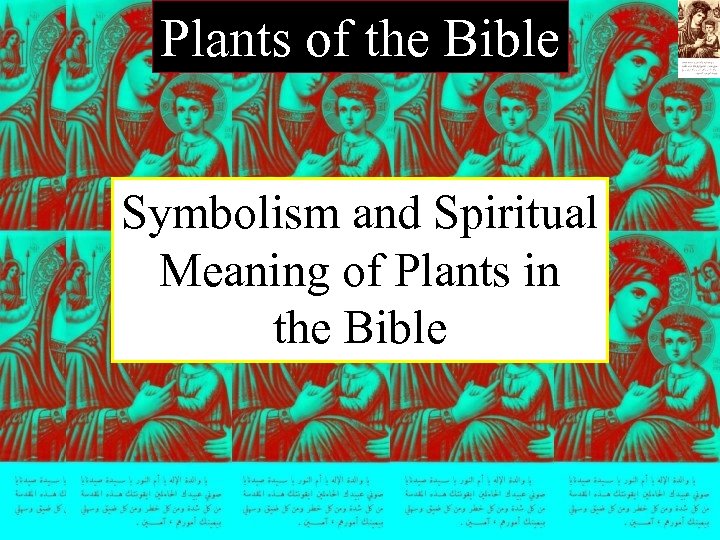 Plants of the Bible Symbolism and Spiritual Meaning of Plants in the Bible 