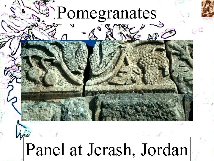Pomegranates Panel at Jerash, Jordan 