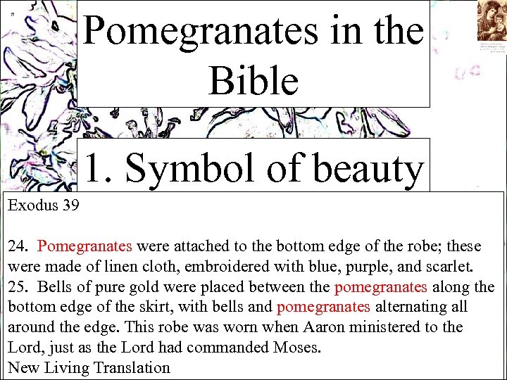 Pomegranates in the Bible 1. Symbol of beauty Exodus 39 24. Pomegranates were attached