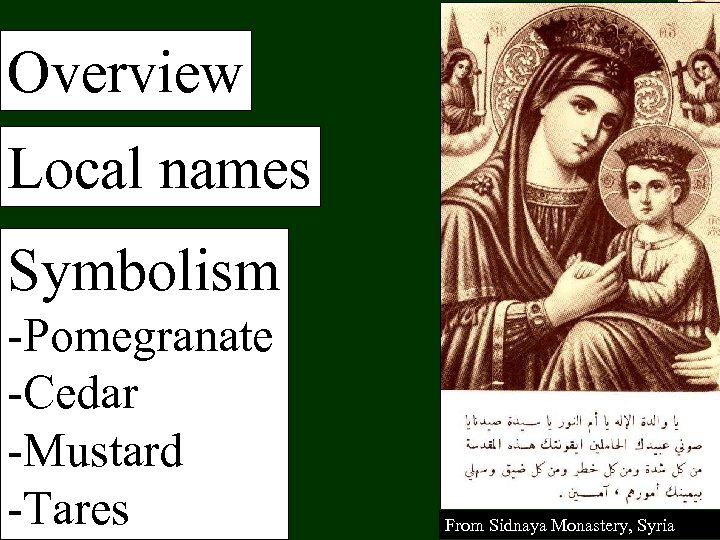 Overview Local names Symbolism -Pomegranate -Cedar -Mustard -Tares From Sidnaya Monastery, Syria 