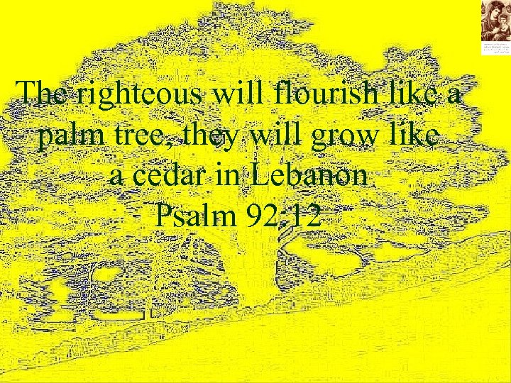 The righteous will flourish like a palm tree, they will grow like a cedar