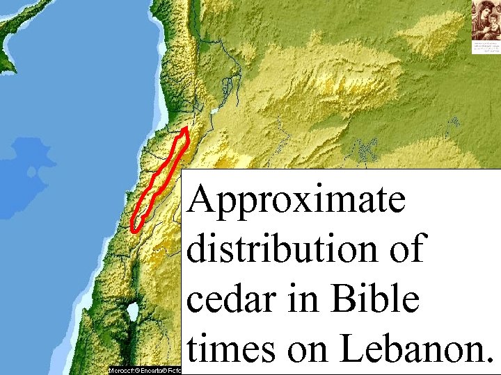 Approximate distribution of cedar in Bible times on Lebanon. 