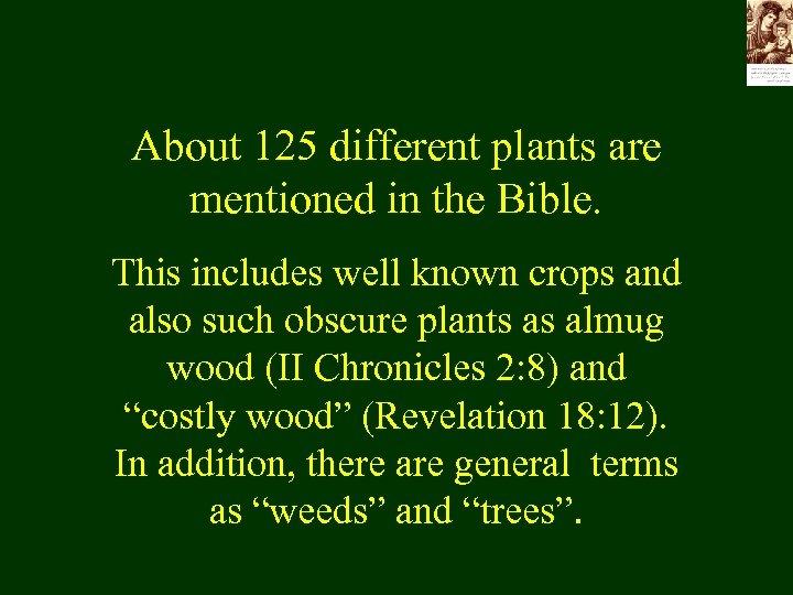 About 125 different plants are mentioned in the Bible. This includes well known crops