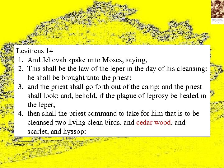 Leviticus 14 1. And Jehovah spake unto Moses, saying, 2. This shall be the
