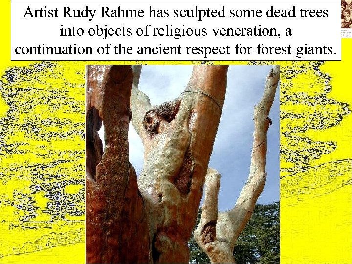 Artist Rudy Rahme has sculpted some dead trees into objects of religious veneration, a