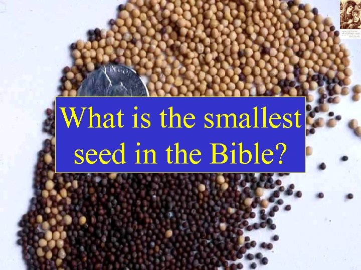 What is the smallest seed in the Bible? 