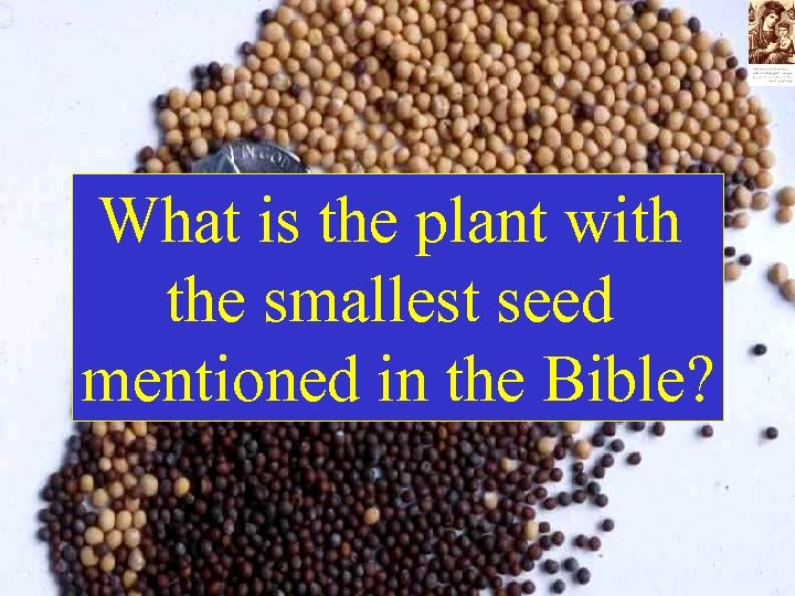 What is the plant with the smallest seed mentioned in the Bible? 