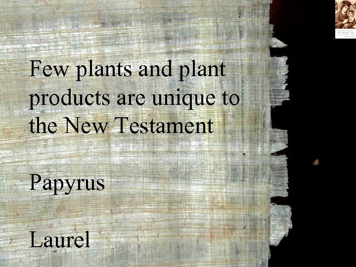 Few plants and plant products are unique to the New Testament Papyrus Laurel 