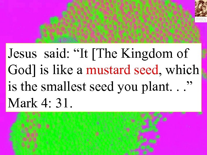 Jesus said: “It [The Kingdom of God] is like a mustard seed, which is