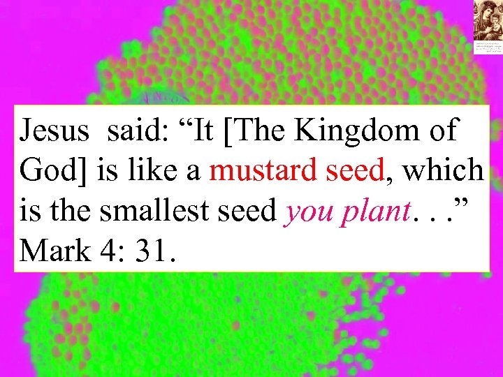 Jesus said: “It [The Kingdom of God] is like a mustard seed, which is