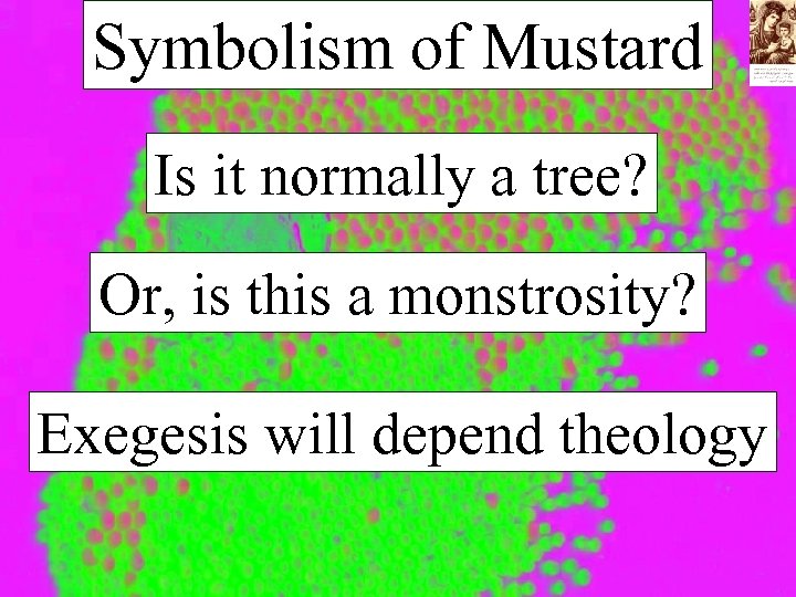 Symbolism of Mustard Is it normally a tree? Or, is this a monstrosity? Exegesis