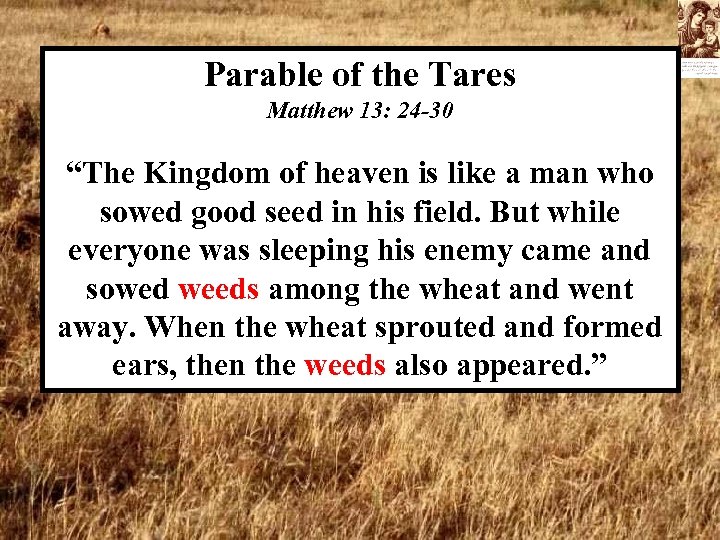Parable of the Tares Matthew 13: 24 -30 “The Kingdom of heaven is like