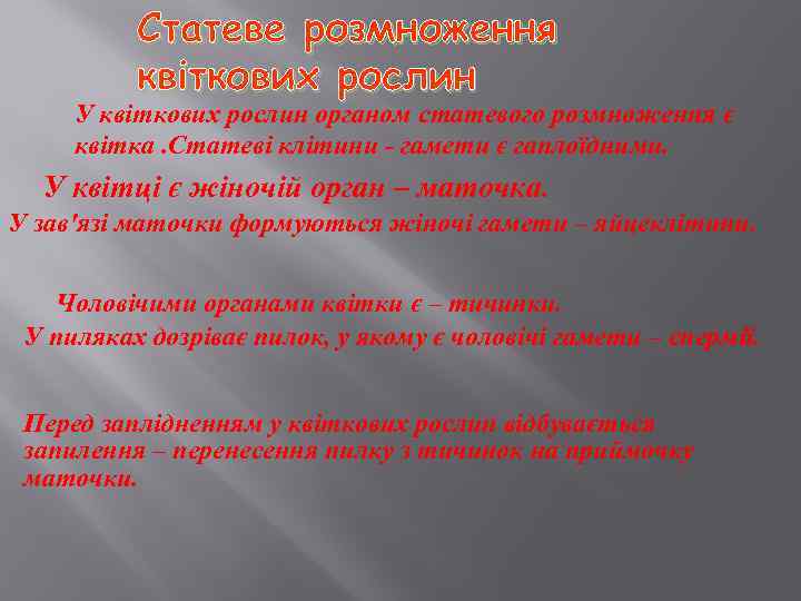 Статеве розмноження квіткових рослин У квіткових рослин органом статевого розмноження є квітка. Статеві клітини