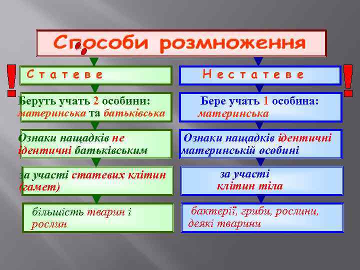 С т а т е в е Беруть учать 2 особини: материнська та батьківська