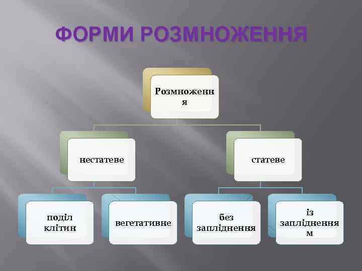 ФОРМИ РОЗМНОЖЕННЯ Розмноженн я нестатеве поділ клітин вегетативне статеве без запліднення із запліднення м