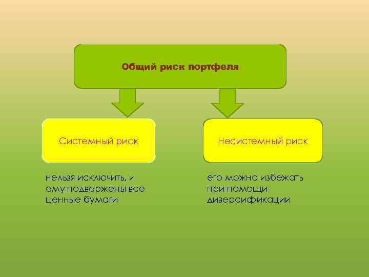 Общий риск портфеля Системный риск нельзя исключить, и ему подвержены все ценные бумаги Несистемный