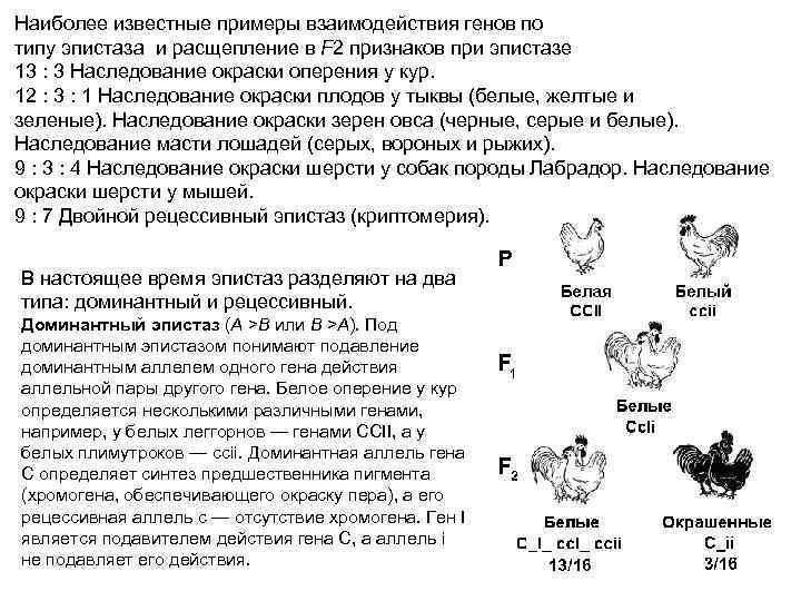 Наиболее известные примеры взаимодействия генов по типу эпистаза и расщепление в F 2 признаков