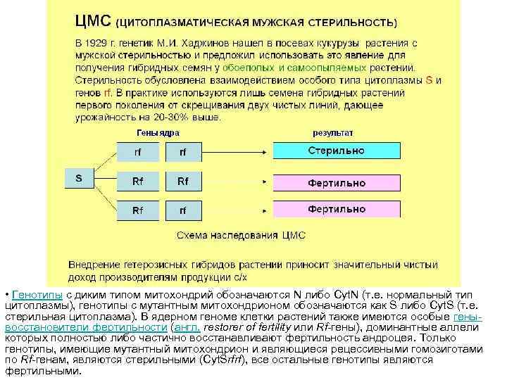  • Генотипы с диким типом митохондрий обозначаются N либо Cyt. N (т. е.