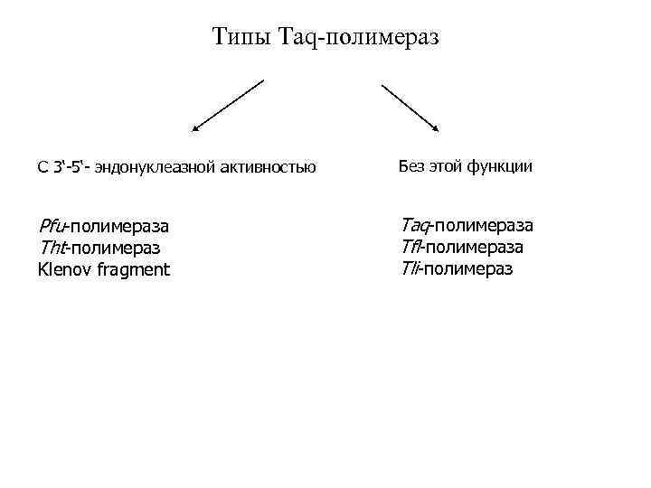 Типы Taq-полимераз С 3‘-5‘- эндонуклеазной активностью Без этой функции Pfu-полимераза Tht-полимераз Taq-полимераза Tfl-полимераза Tli-полимераз
