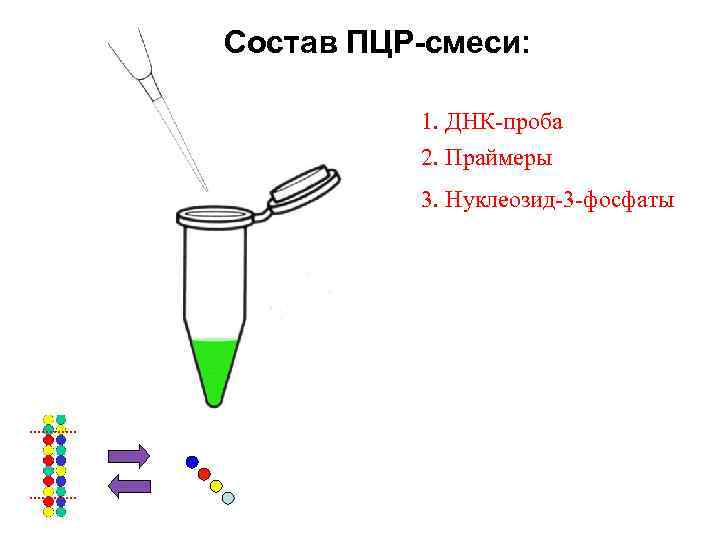 Состав ПЦР-смеси: 1. ДНК-проба 2. Праймеры 3. Нуклеозид-3 -фосфаты 