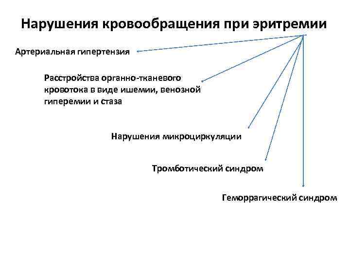 Нарушения кровообращения при эритремии Артериальная гипертензия Расстройства органно-тканевого кровотока в виде ишемии, венозной гиперемии
