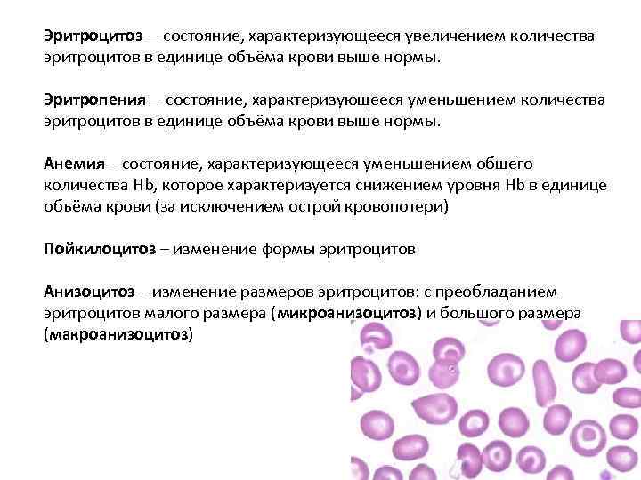 Посмотрите на изображение эритроцитов в разной среде в каком растворе находятся эритроциты на первом