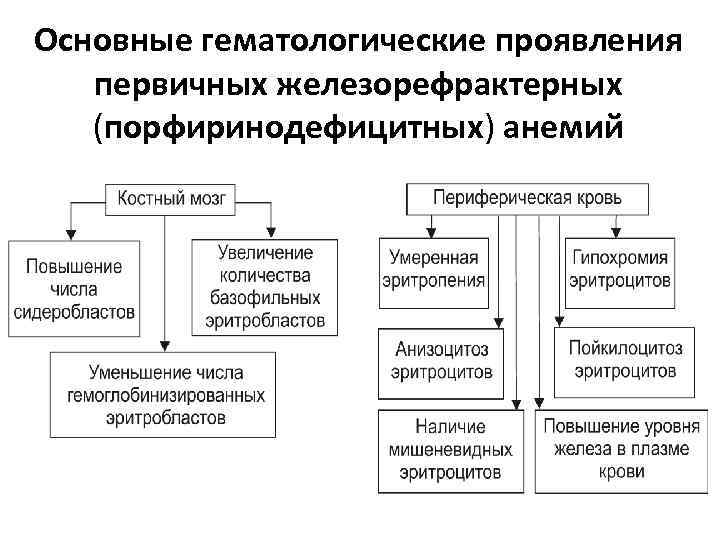 Основные гематологические проявления первичных железорефрактерных (порфиринодефицитных) анемий 