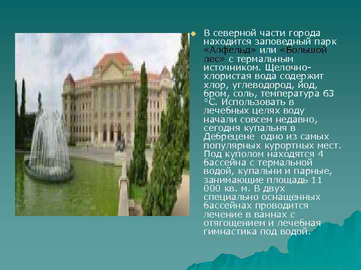u В северной части города находится заповедный парк «Алфельд» или «Большой лес» с термальным