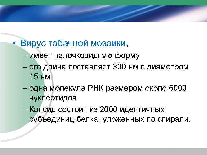 • Вирус табачной мозаики, – имеет палочковидную форму – его длина составляет 300