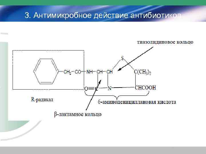 3. Антимикробное действие антибиотиков 