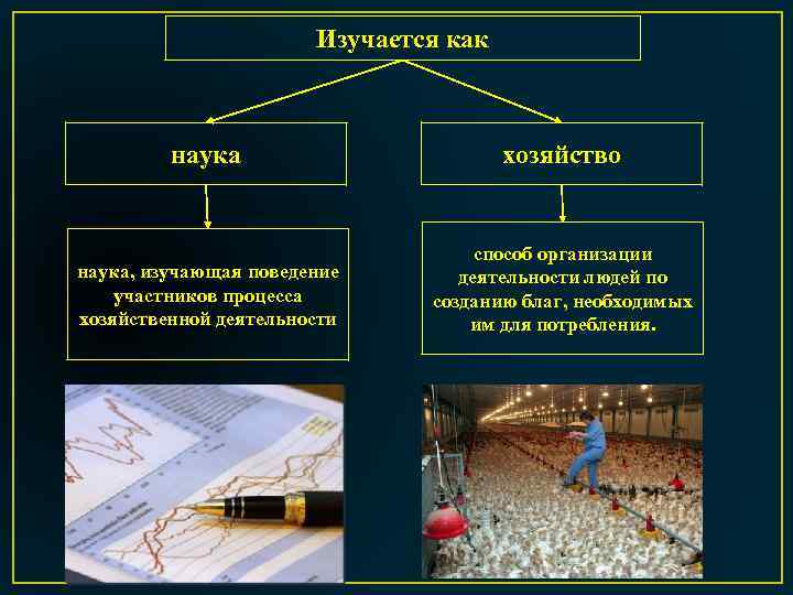 Изучается как наука хозяйство наука, изучающая поведение участников процесса хозяйственной деятельности способ организации деятельности