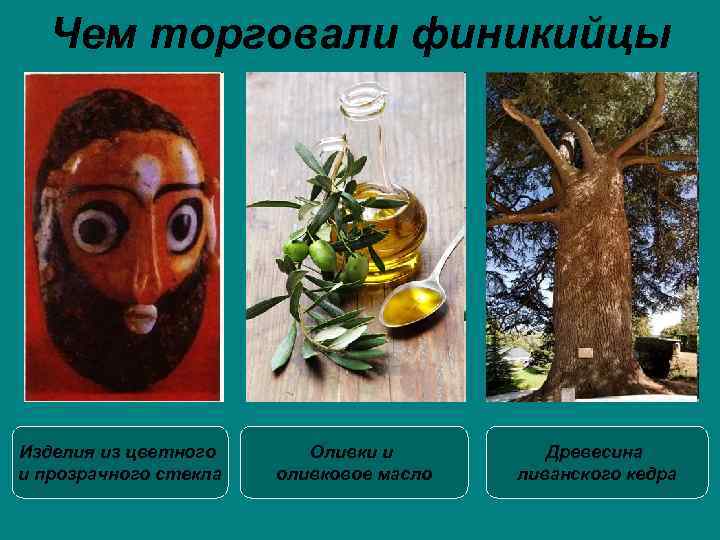 Чем торговали финикийцы Изделия из цветного и прозрачного стекла Оливки и оливковое масло Древесина