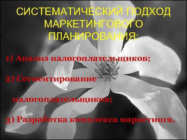 СИСТЕМАТИЧЕСКИЙ ПОДХОД МАРКЕТИНГОВОГО ПЛАНИРОВАНИЯ: 1) Анализ налогоплательщиков; 2) Сегментирование налогоплательщиков; 3) Разработка комплекса маркетинга.