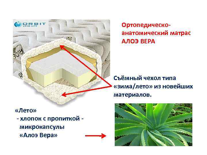 Матрас алоэ вера аскона