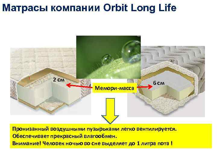 Матрасы компании Orbit Long Life 2 см Мемори-масса 6 см Пронизанный воздушными пузырьками легко
