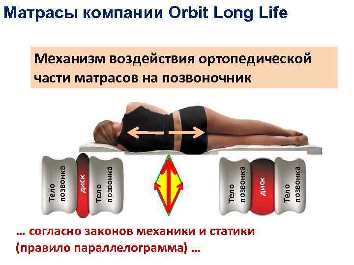 Матрасы компании Orbit Long Life … согласно законов механики и статики (правило параллелограмма) …
