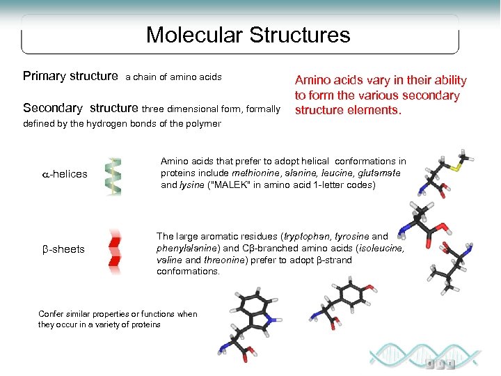 Molecular Structures Primary structure a chain of amino acids Secondary structure three dimensional form,