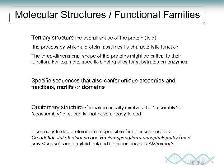 Molecular Structures / Functional Families Tertiary structure the overall shape of the protein (fold)