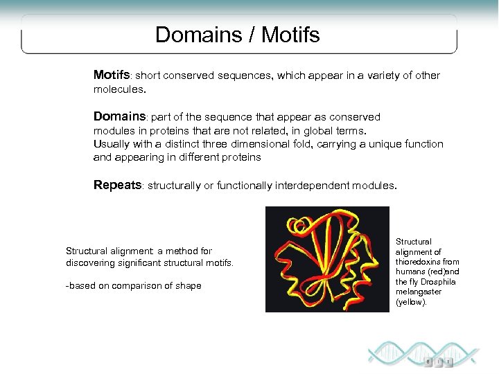 Domains / Motifs: short conserved sequences, which appear in a variety of other molecules.