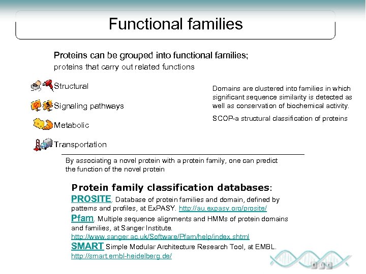 Functional families Proteins can be grouped into functional families; proteins that carry out related
