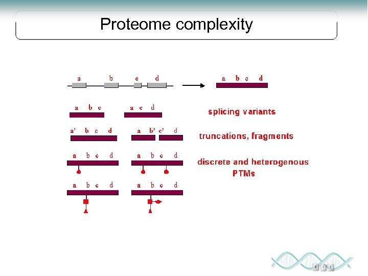 Proteome complexity 