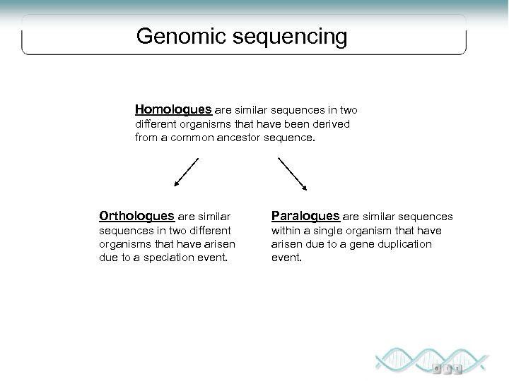 Genomic sequencing Homologues are similar sequences in two different organisms that have been derived
