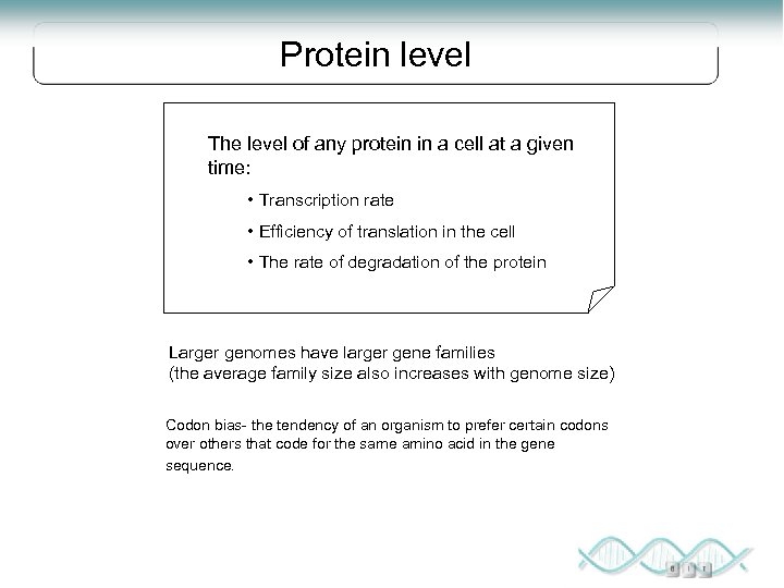 Protein level The level of any protein in a cell at a given time: