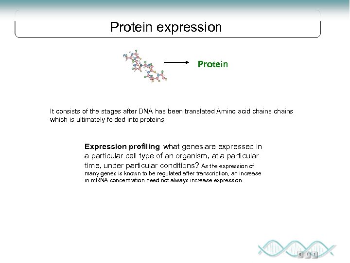 Protein expression Protein It consists of the stages after DNA has been translated Amino
