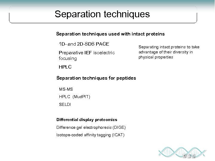 Separation techniques used with intact proteins 1 D- and 2 D-SDS PAGE Preparative IEF
